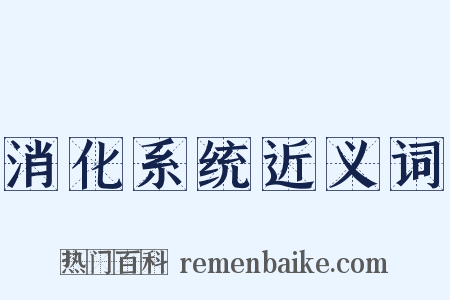 消化系统近义词是什么意思的图片